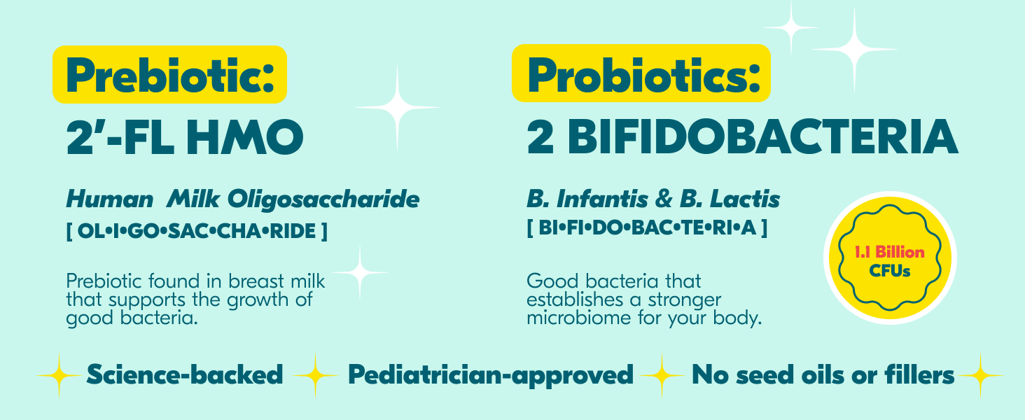 milk oligosaccharide bifidobacteria