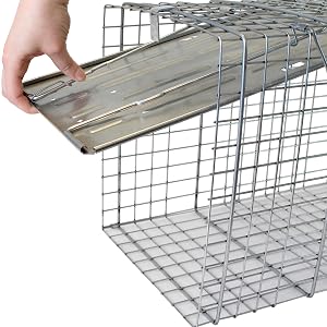 1079 havahart trap has higher catch rates