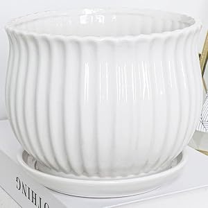 Ceramic Flower Plant Pots
