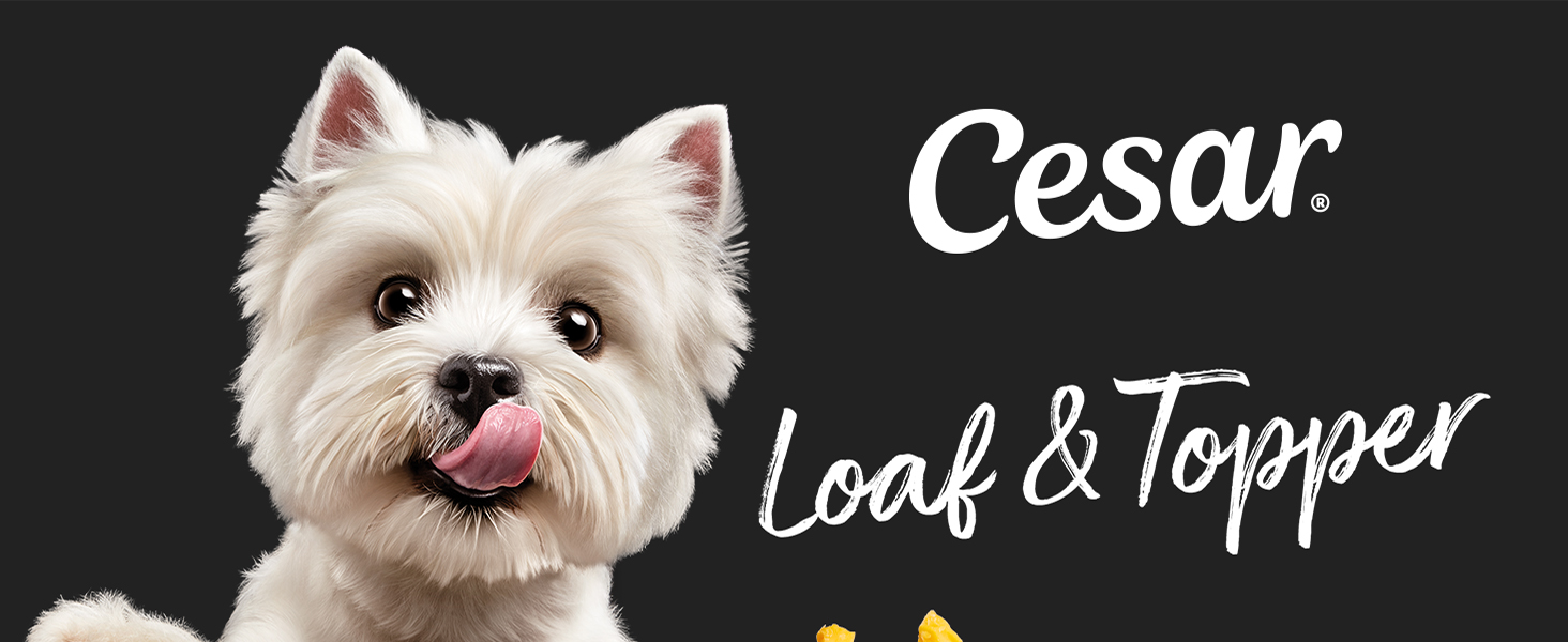 cesar