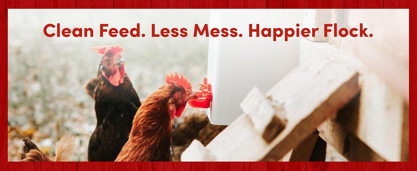 Cleaner Feed. Less Mess. Happier Flock
