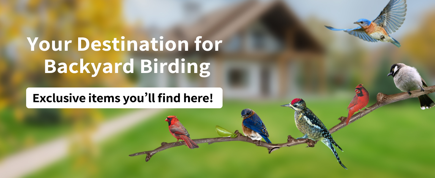bird feeders for outdoors