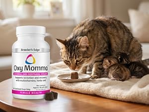 Mother cat nursing kittens beside Oxy Momma postpartum soft chew supplement