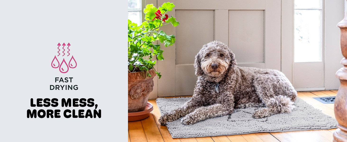 dirty, doormat, runner, carpet, clean, cleaning, floors, trapping, pets, non, slip muddy mats