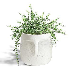 face shaped plant pot