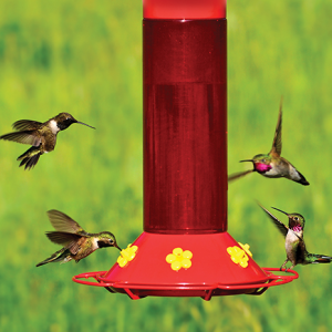 hummingbird feeder, wide-mouth bottle
