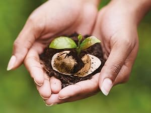 caffe borbone sustainability