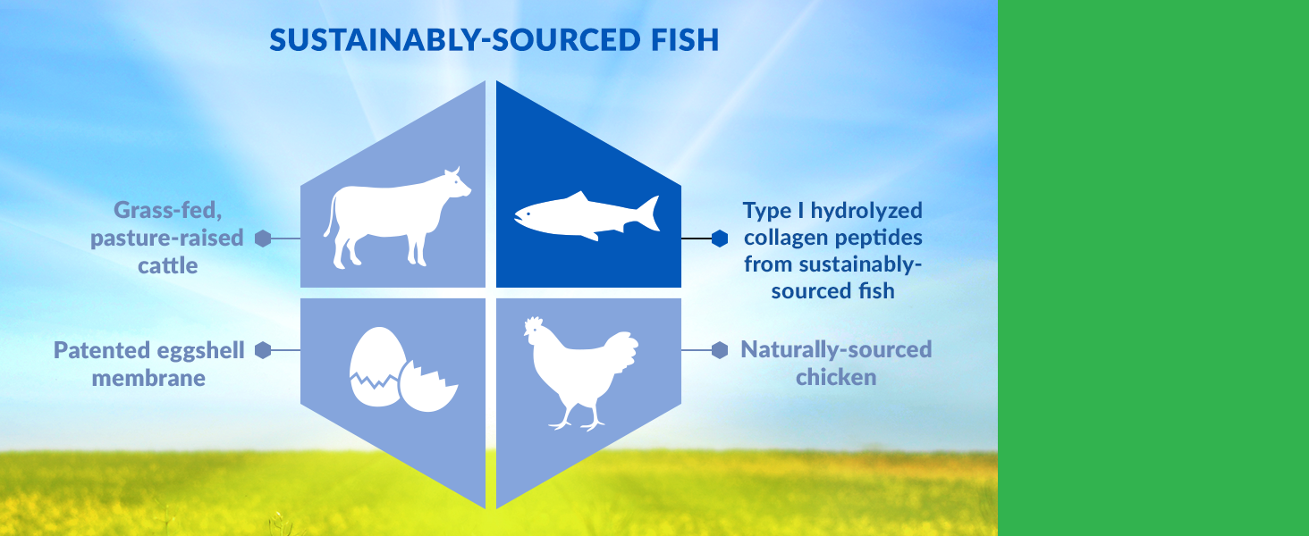 Type 1 hydrolyzed collagen peptides from sustainably sourced fish