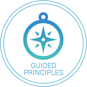 Guided Principles