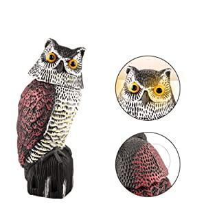 owl decoy