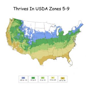 Growing Zones
