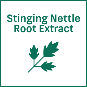 stinging nettle root extract icon