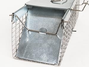 small humane animal traps