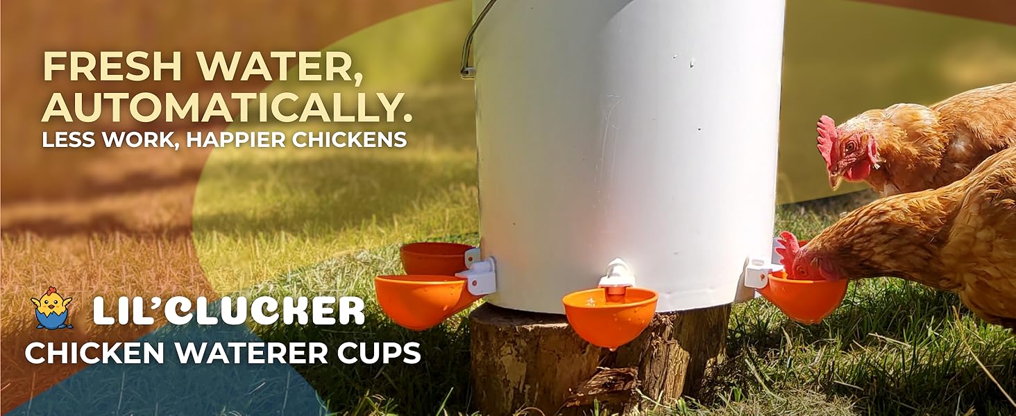 Lil Clucker large automatic waterer cups, orange water cups, chicken water feeder, poultry waterers