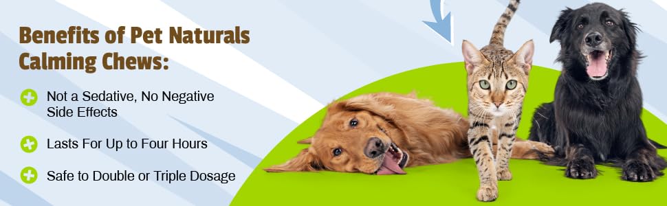 no sedation, no side effects, safe calming chews
