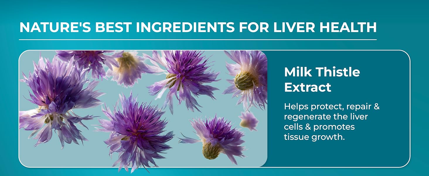 Milk thistle liver and kidney support for natural cleansing and repair