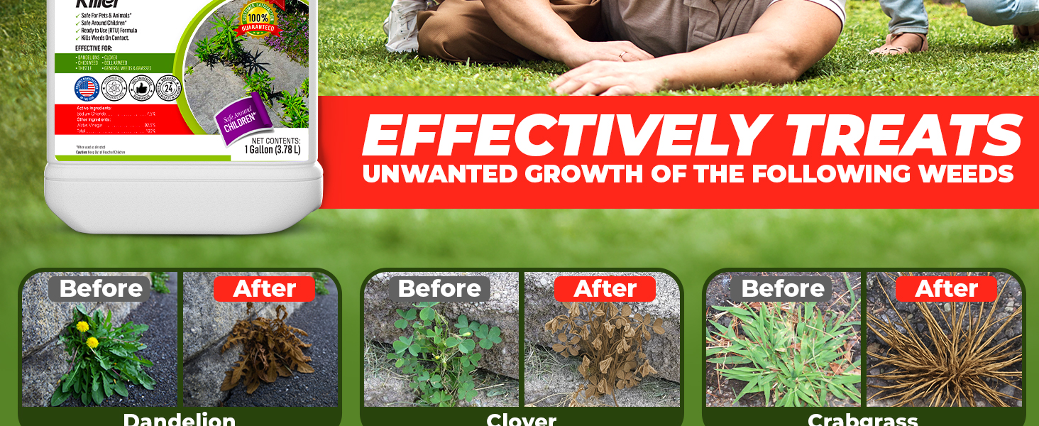 Organic Vinegar Weed Killer