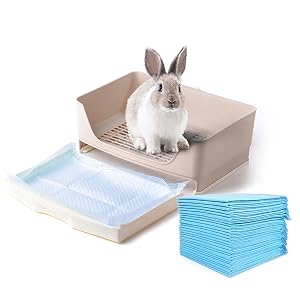 for litter box