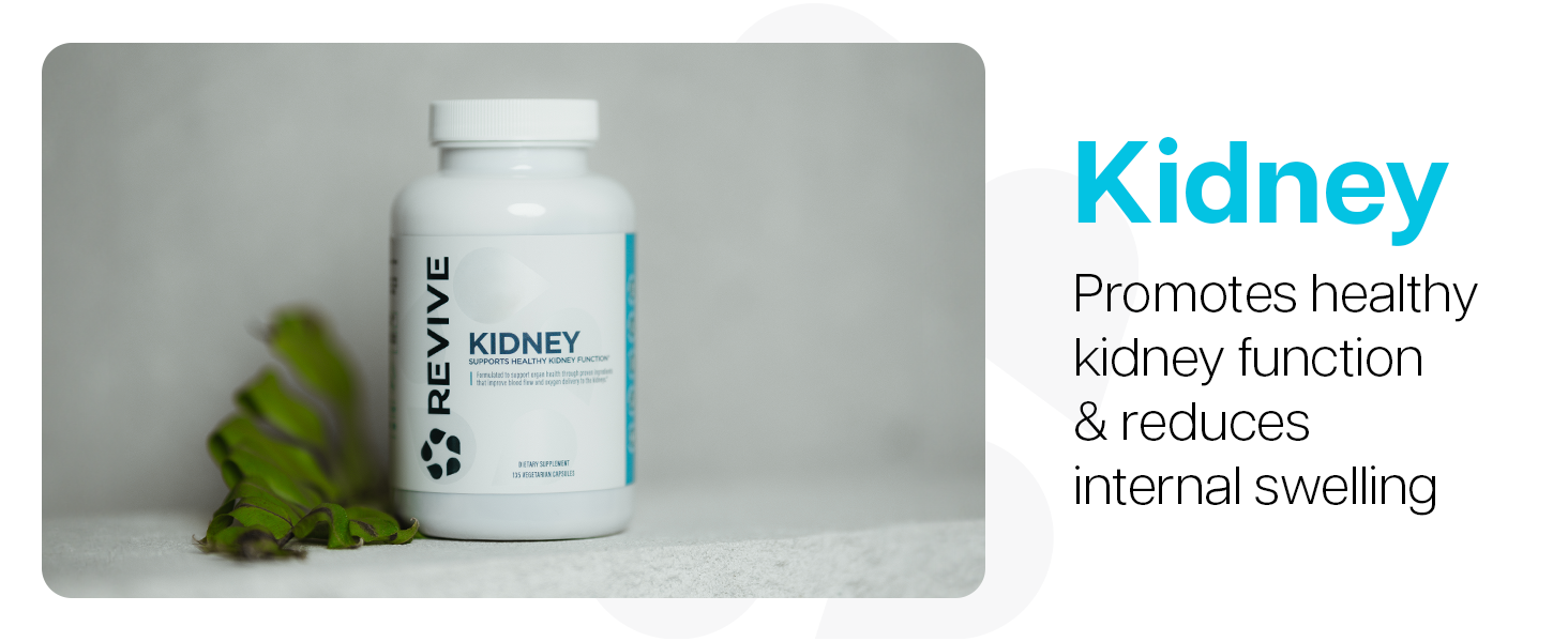 diet tract probiotics life pain organ complex pill digestive probiotic womens herbal hormone enzymes