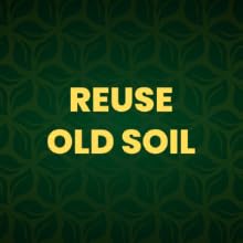 earthshine biochar blend can be used to reuse old soil