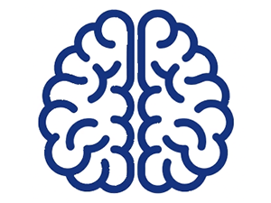 GABA Blood Brain Barrier