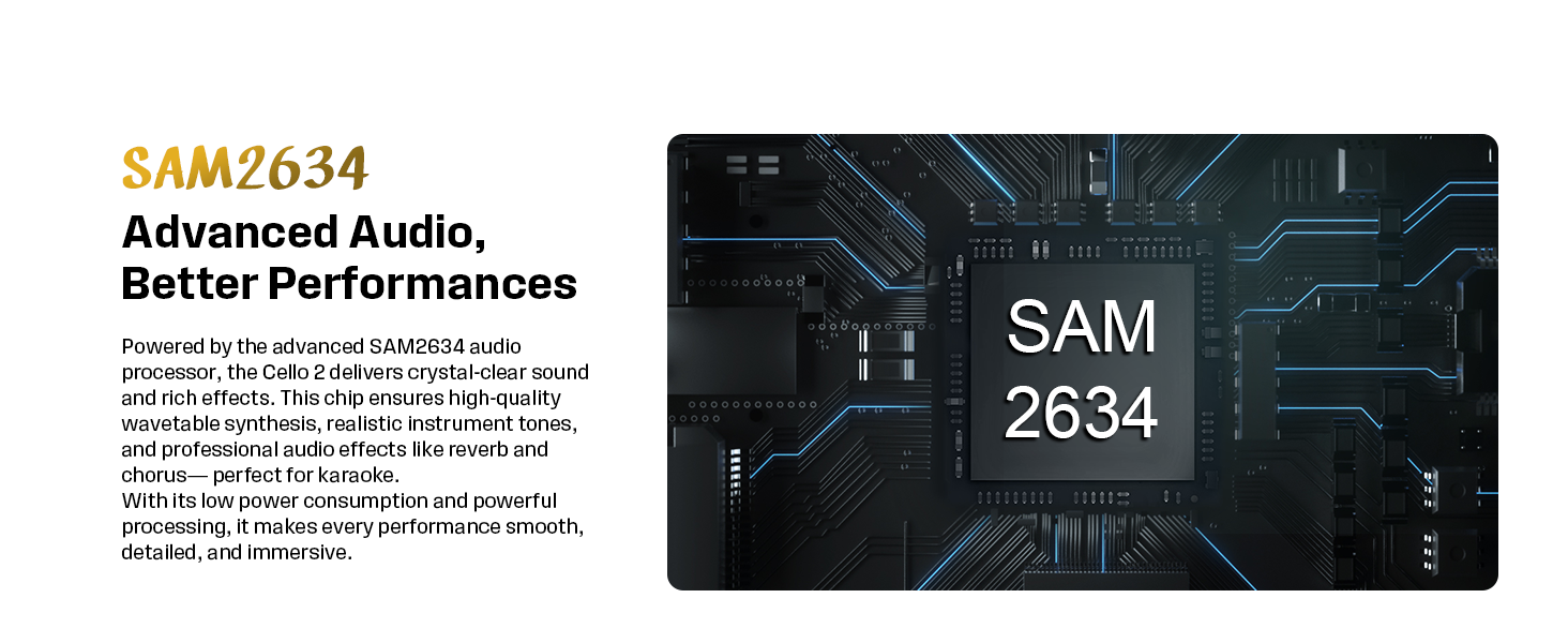 Advanced Audio Processor