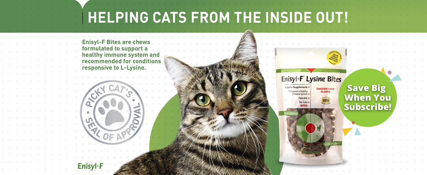 enisyl bites lysine supplement
