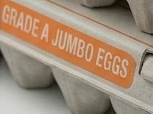 jumbo egg carton close up of locking lid