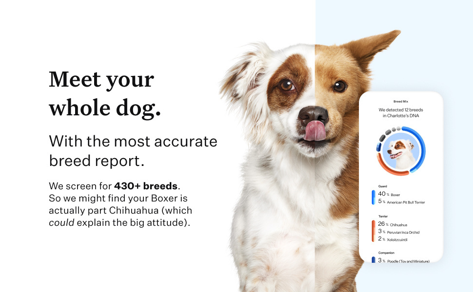 Meet your whole dog with the most accurate breed report.