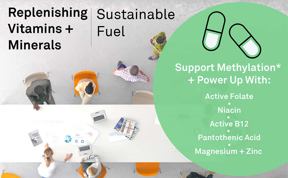 Support Methylation