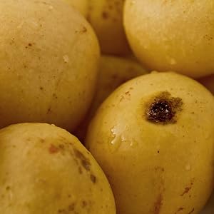 marula fruit oil organic
