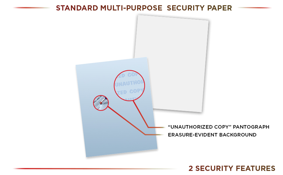 DocuGard High Security Business Checks and Security Papers