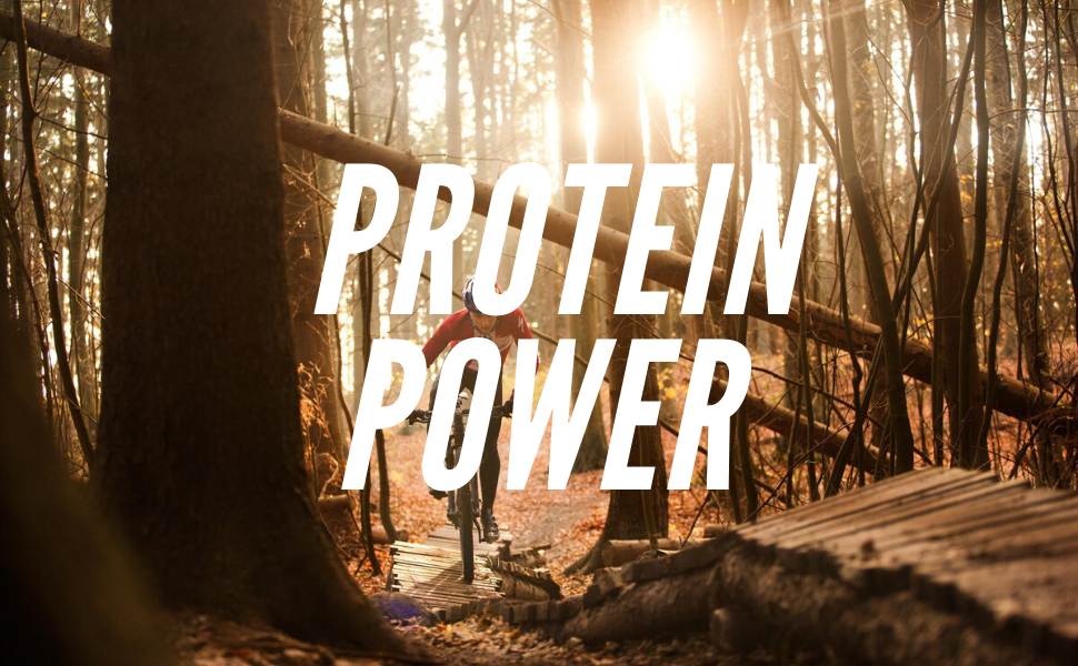provide energy with protein
