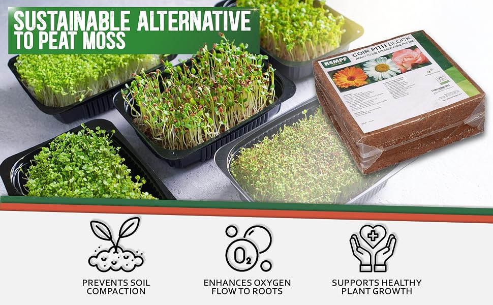 bricks fern starting lawns houseplant gardening dirt cocopeat bulk well draining soils vegetables