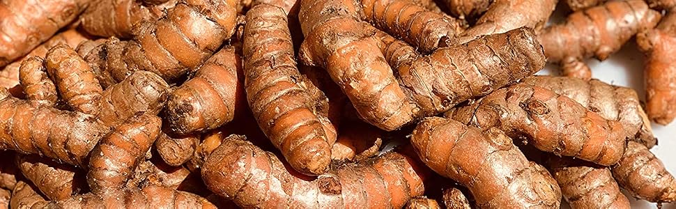 Turmeric