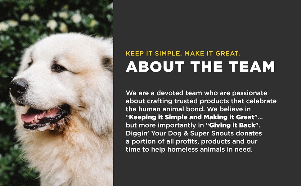 diggin your dog firm up pumpkin for dogs