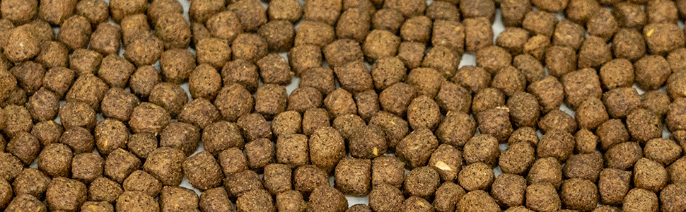 best fish food for bass in a pond