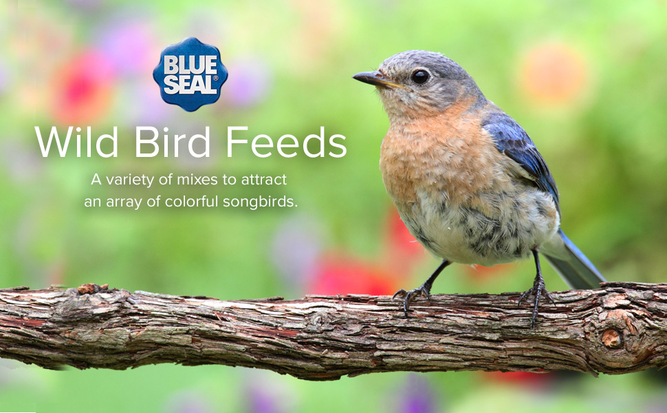 wild bird seed