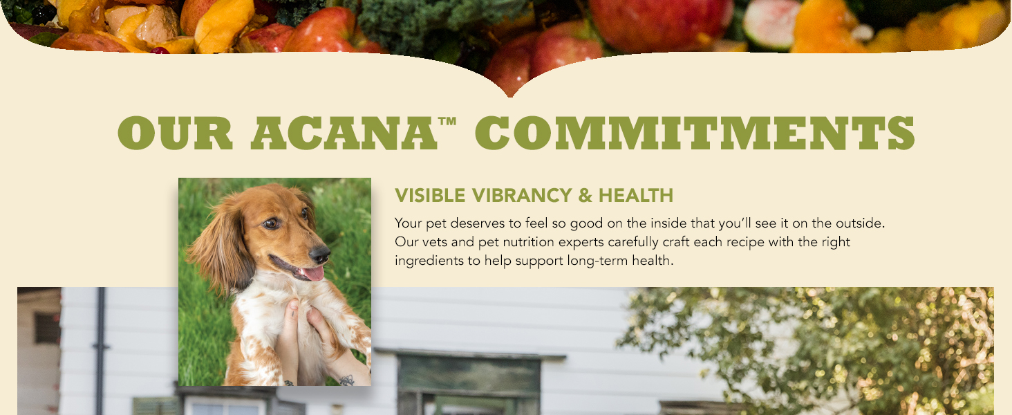 Visible Vibrancy and Health