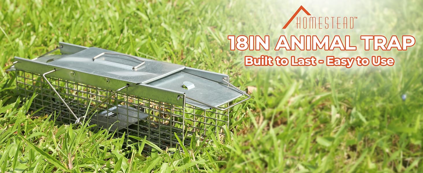 live rat traps catch and release
