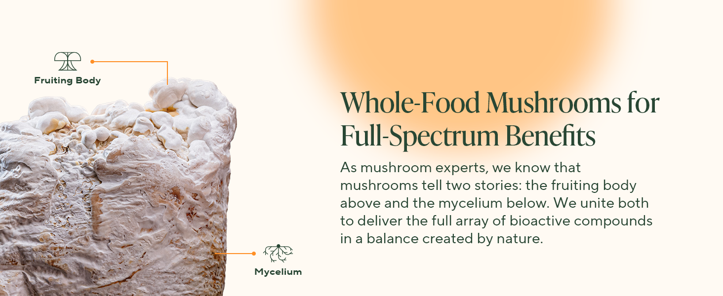 Our whole-food mushrooms deliver full spectrum benefits from mycelium and fruiting body