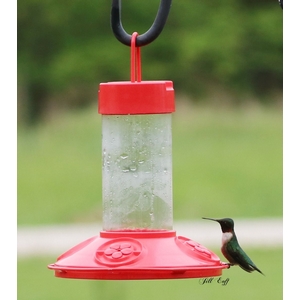 Dr. JB&amp;#39;s Clean Feeder