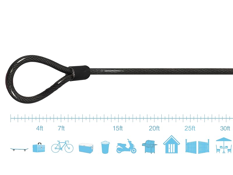 LKC12 Ruler Illustration