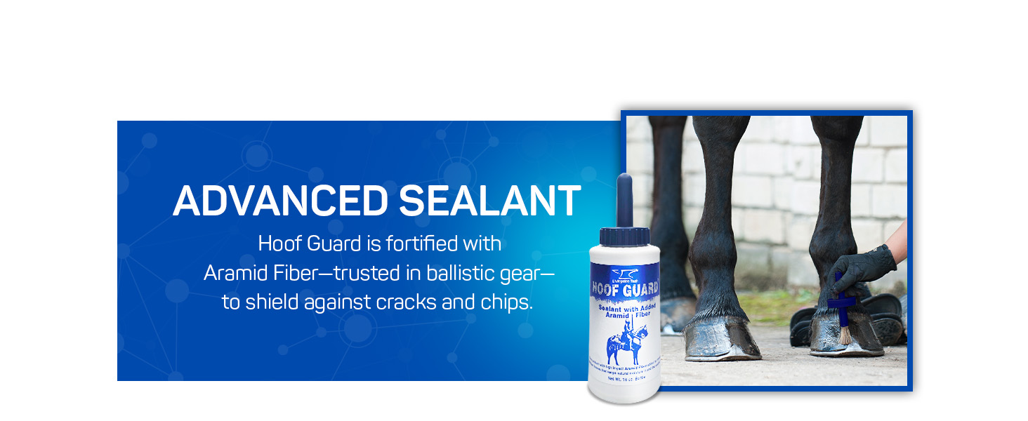 hoof cream for nails sweet itch treatment for horses maximum defense stock horse coat horse skin