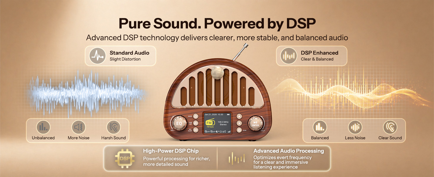 High- Power DSP Chip