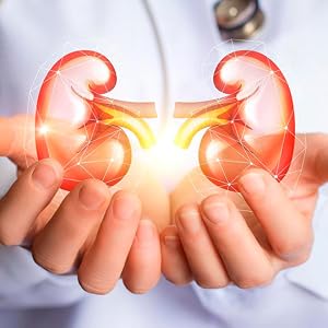 renohelp, kidney support, kidney supplement, natural kidney support