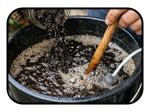 someone making fertilizer tea out of worm castings and water in a black bucket