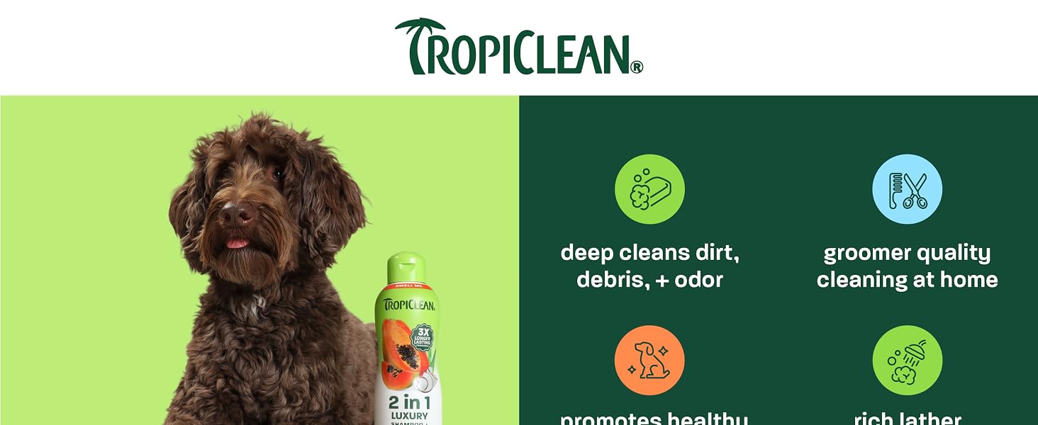 TropiClean bottle on head of dog.