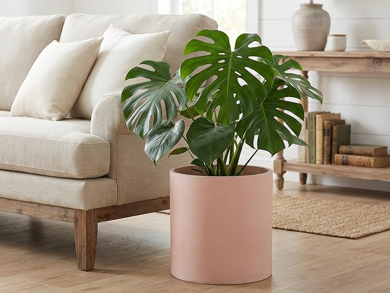12 inch dust pink modern indoor floor planter for living room sofa corner and monstera plant.