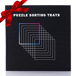 gift package puzzle sorting trays